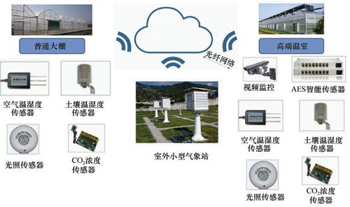 重磅預售 智慧農業